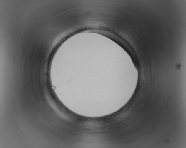 X0000115730630200912241627