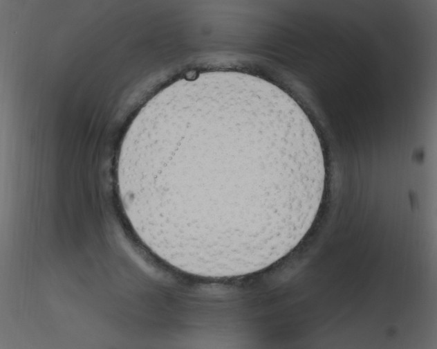 X0000115730633200912241627