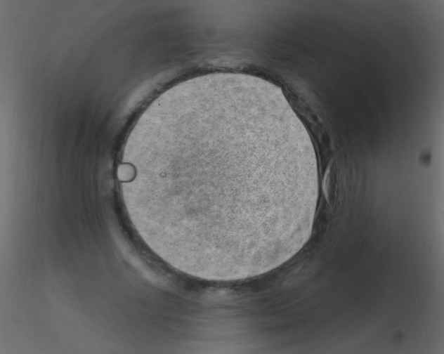 X0000115730634200912241627
