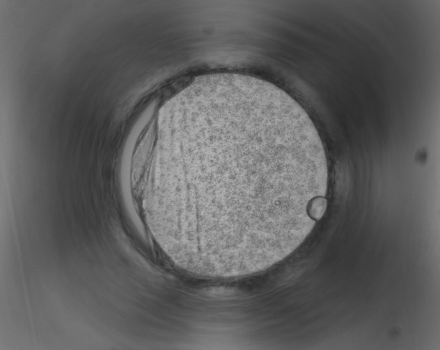 X0000115730637200912241627