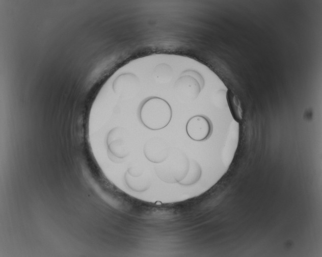 X0000115730638200912241627