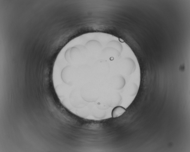 X0000115730639200912241627