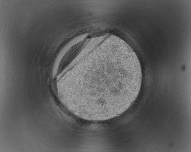 X0000115730641200912241627