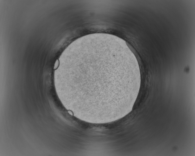 X0000115730642200912241627