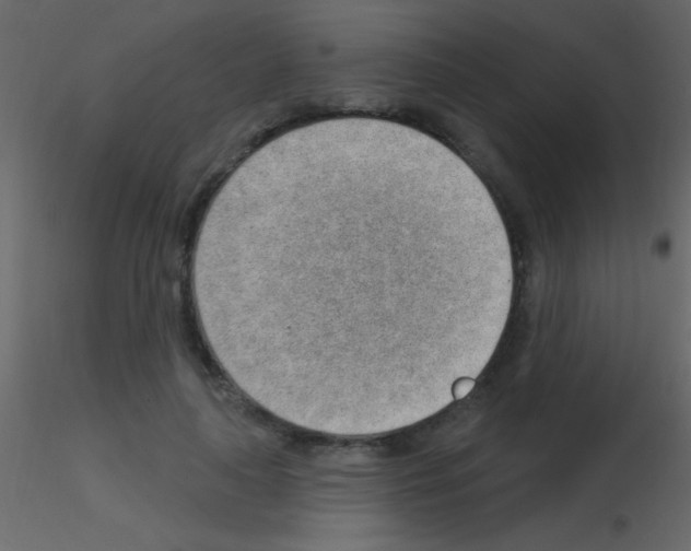 X0000115730643200912241627