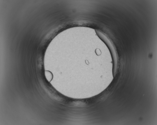 X0000115730644200912241627