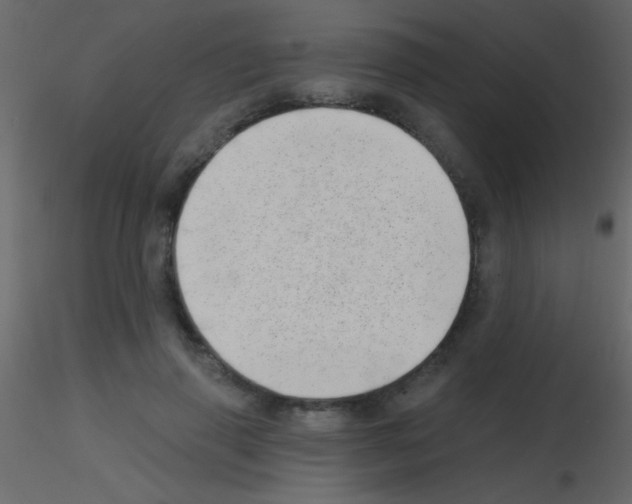 X0000115730645200912241627
