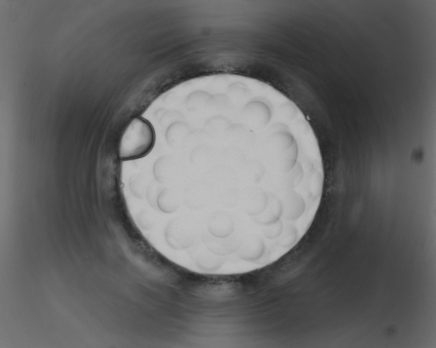 X0000115730646200912241627