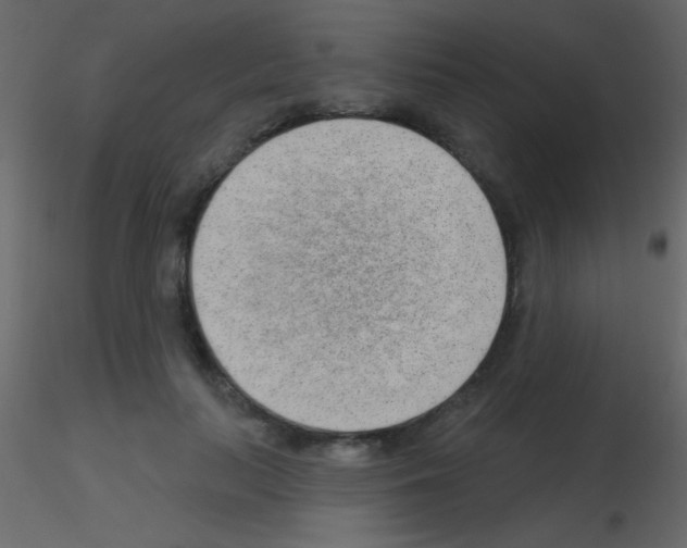 X0000115730647200912241627