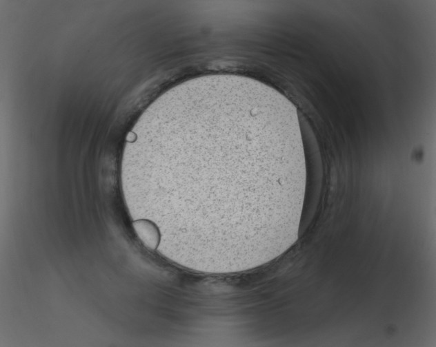 X0000115730648200912241627