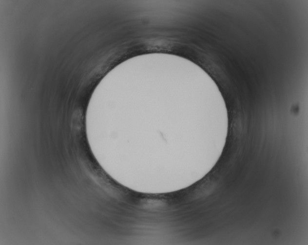 X0000115730649200912241627