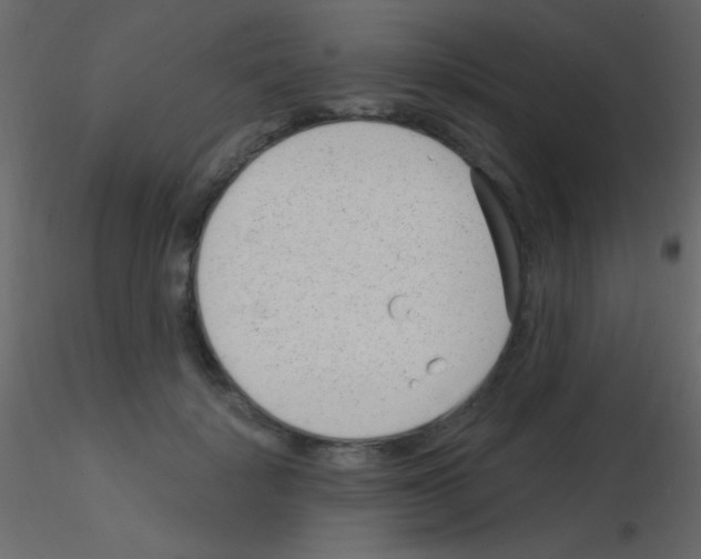 X0000115730652200912241627