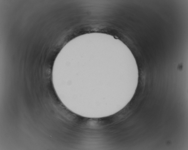 X0000115730657200912241627