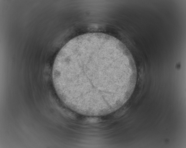 X0000115730659200912241627