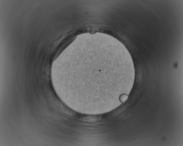 X0000115730661200912241627