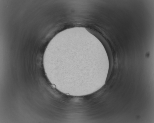 X0000115730664200912241627