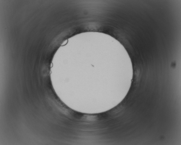 X0000115730665200912241627