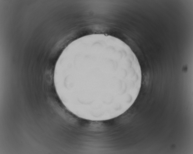 X0000115730666200912241627