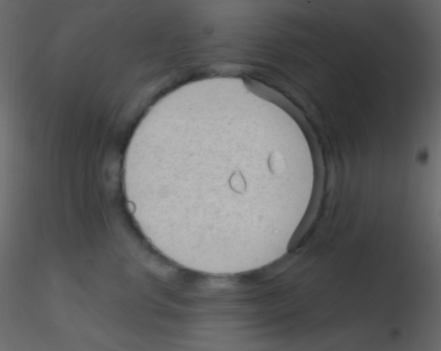 X0000115730668200912241627