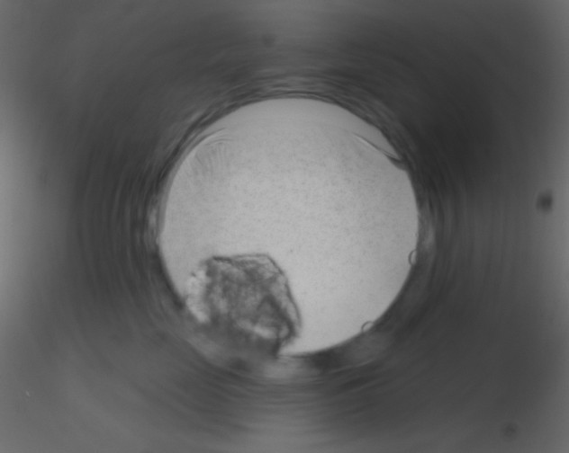 X0000115730669200912241627