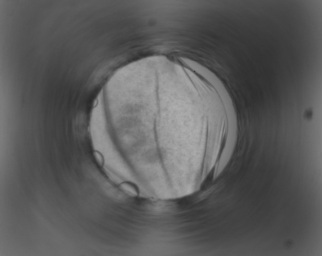 X0000115730670200912241627