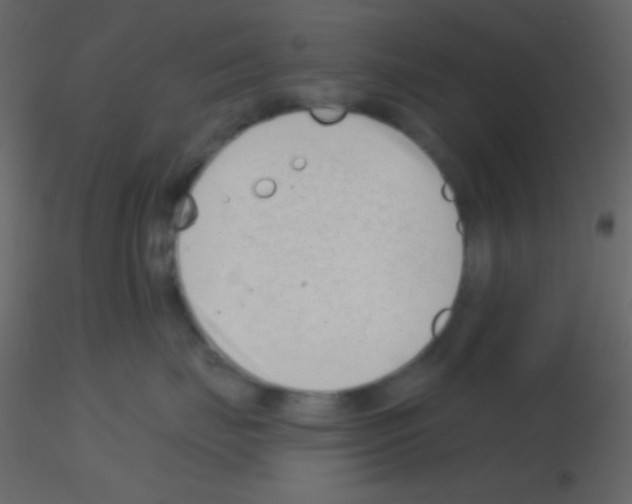 X0000115730671200912241627