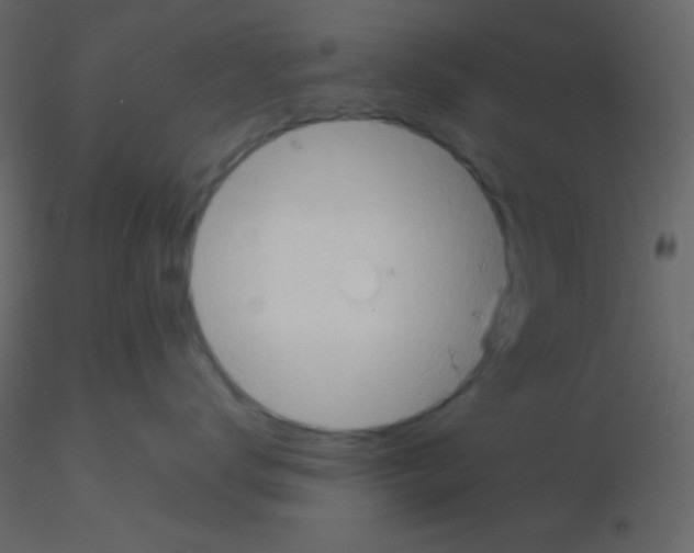 X0000115730672200912241627