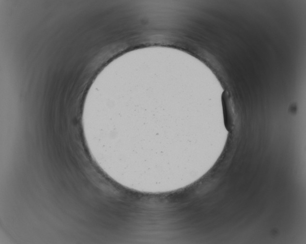 X0000115730673200912241627