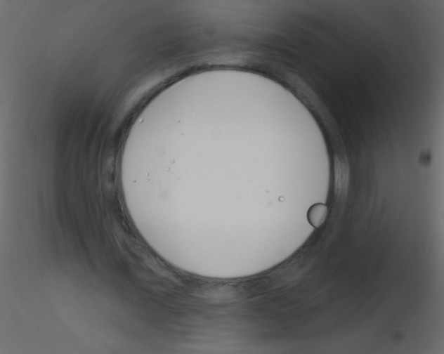 X0000115730675200912241627