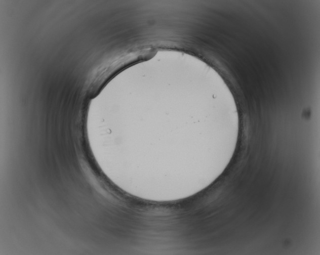 X0000115730677200912241627
