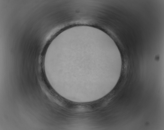 X0000115730678200912241627