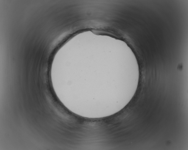 X0000115730679200912241627