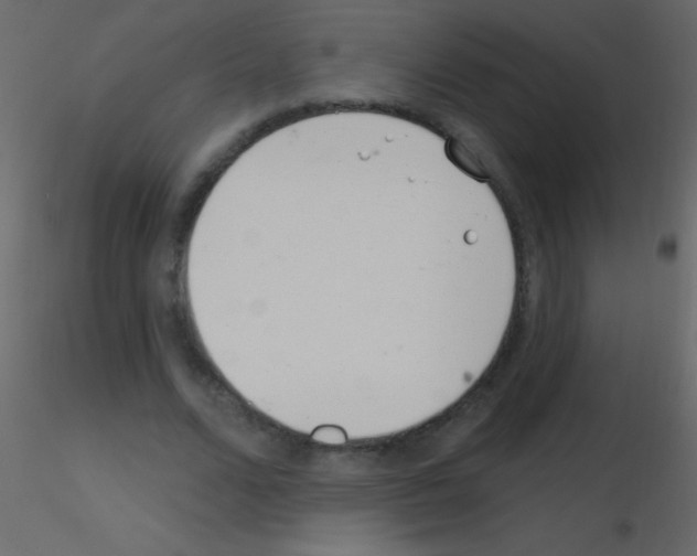 X0000115730680200912241627