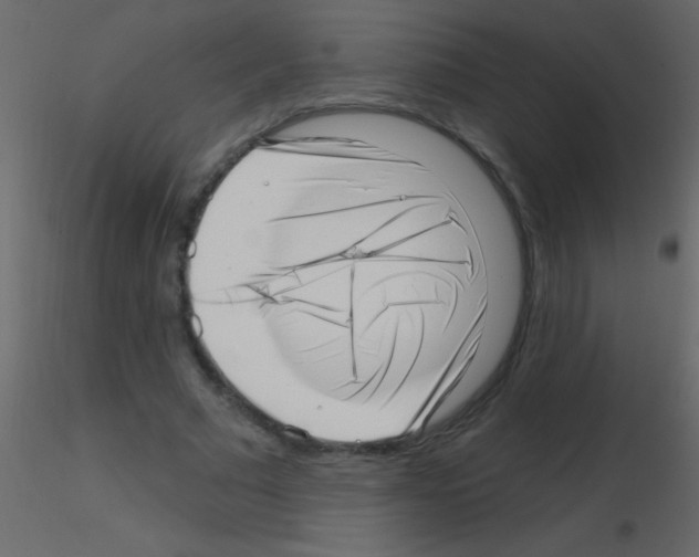 X0000115730681200912241627