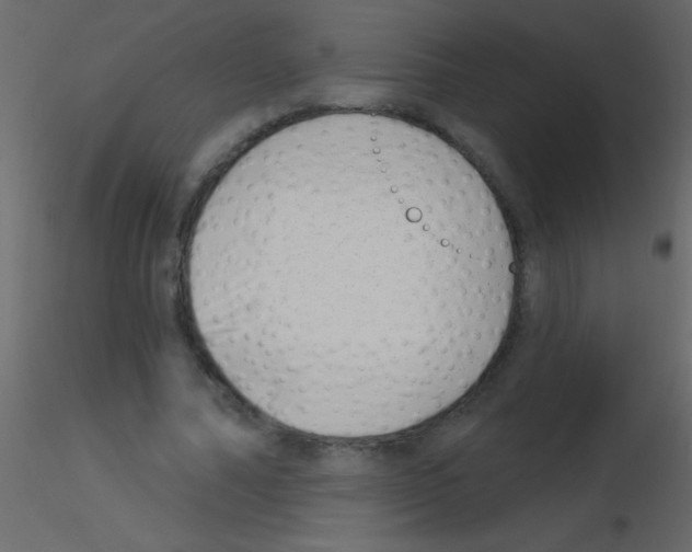 X0000115730682200912241627