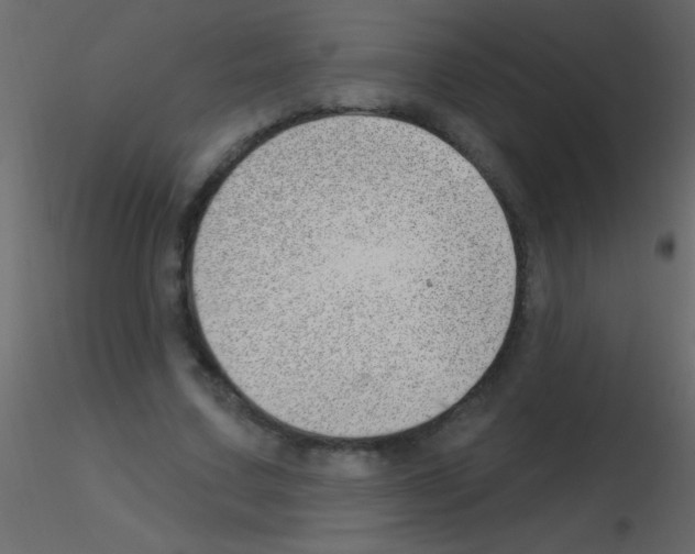 X0000115730683200912241627