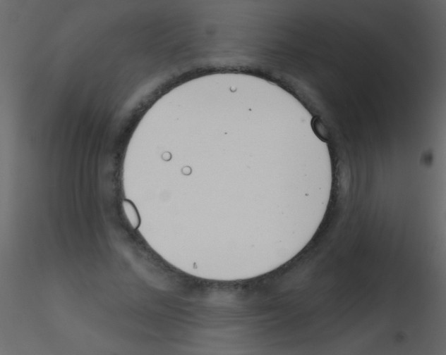 X0000115730684200912241627