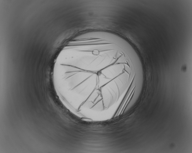 X0000115730685200912241627