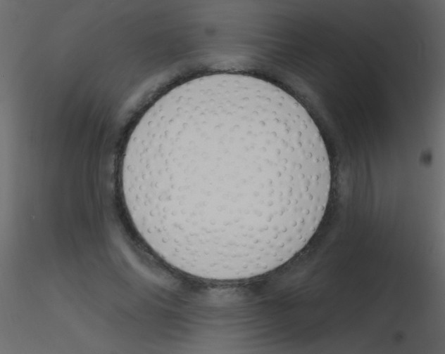X0000115730686200912241627