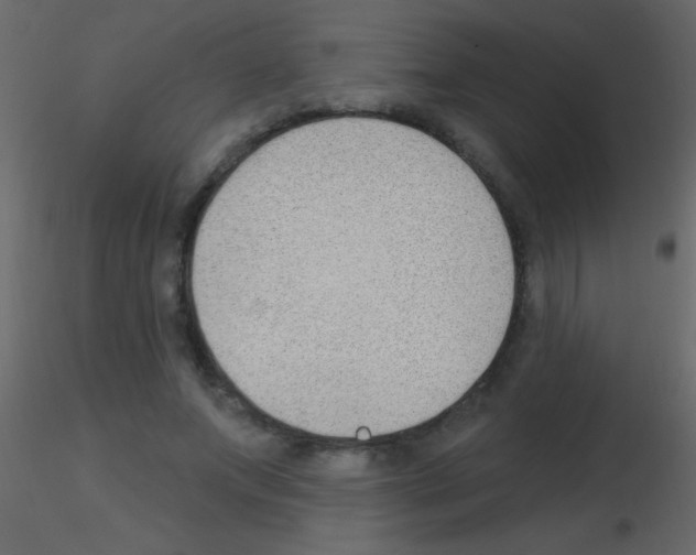 X0000115730687200912241626