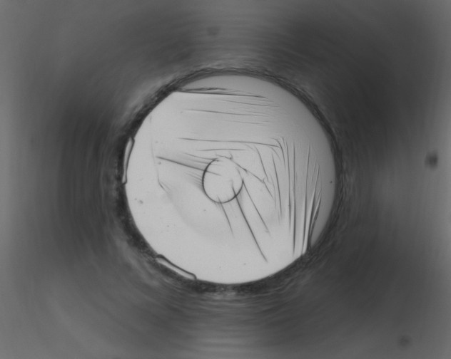 X0000115730688200912241626