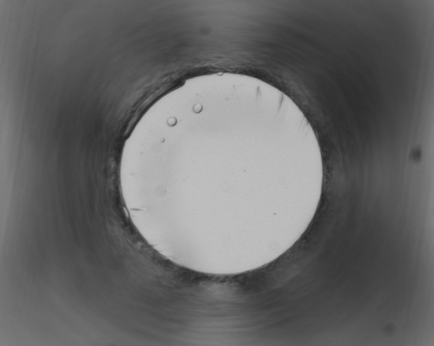 X0000115730689200912241626
