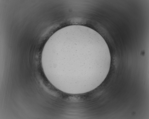 X0000115730690200912241626