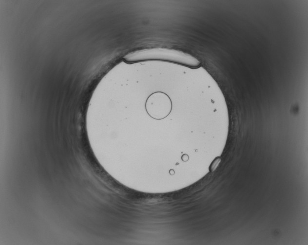 X0000115730692200912241626