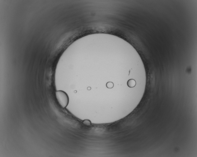 X0000115730694200912241626