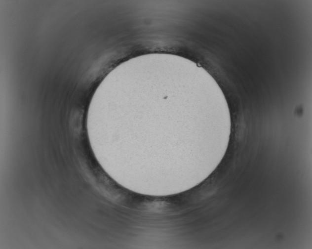 X0000115730695200912241626