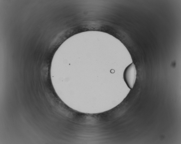 X0000115730697200912241626