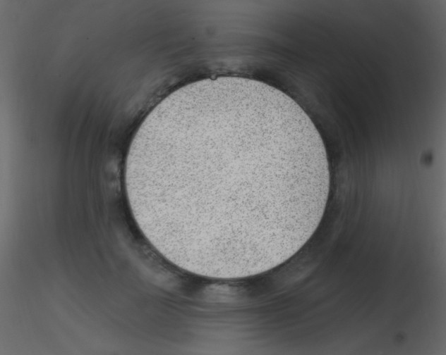 X0000115730699200912241626