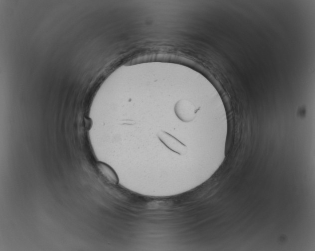 X0000115730700200912241626