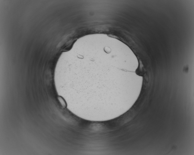 X0000115730704200912241626